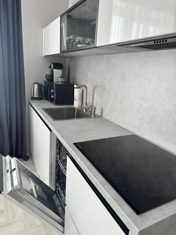 Дизайнерский GreyApart в центре города