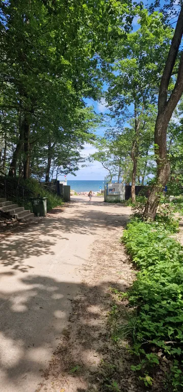 Апартамент с видом на лес