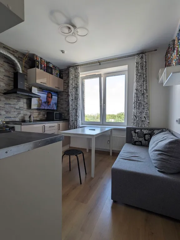 Квартира 1-комнатная Квартира — Песочный