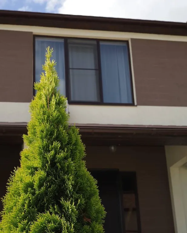 Гостевой дом арт-резиденции Маскага