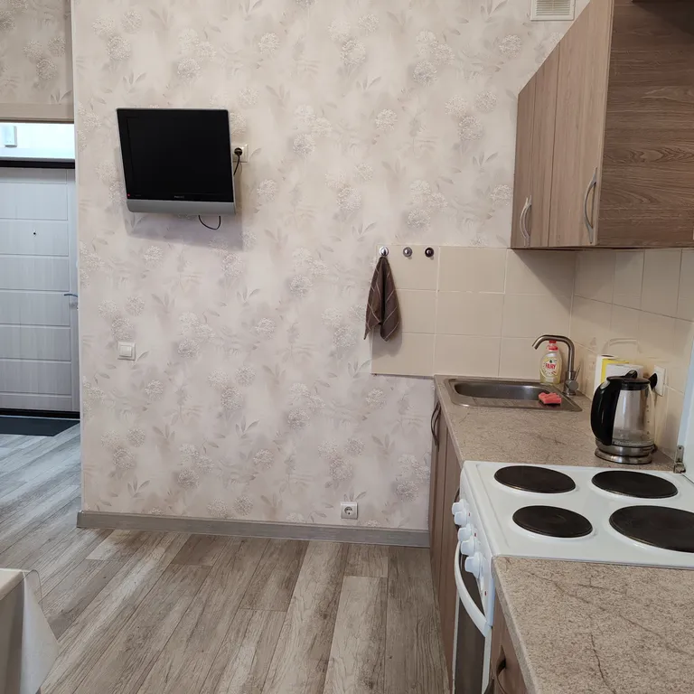 1-комнатная уютная квартира ЖК Зелëная Околица