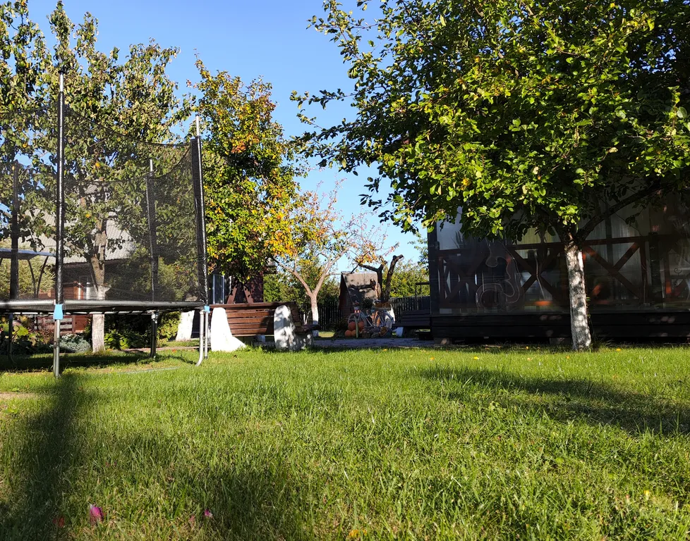 Усадьба с видом на лес