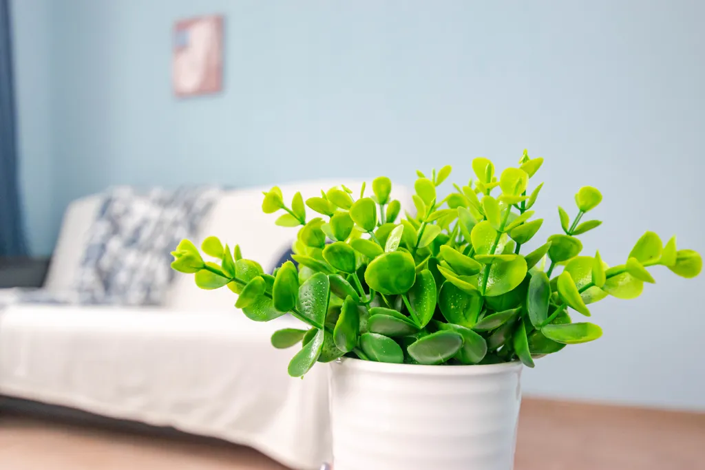 Атмосферная двухкомнатная квартира в ЖК Арсенал в центре Перми