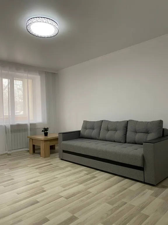 Новые аппартаменты на Пушкина