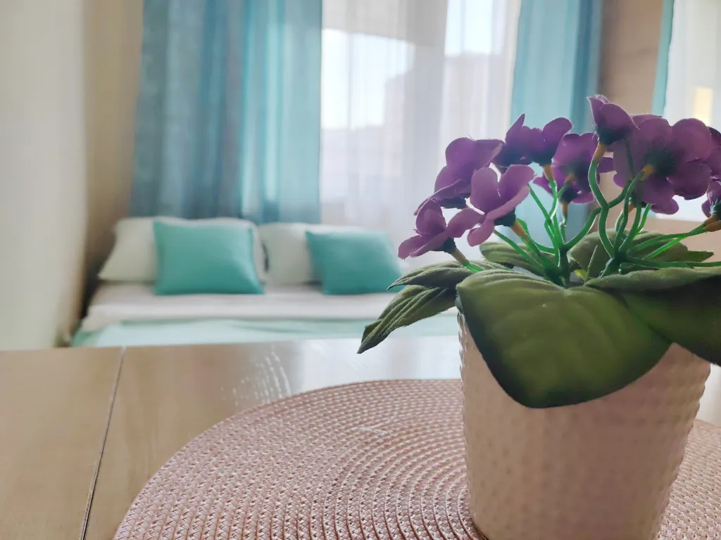 Квартира Квартира Студия Мята — Шушары