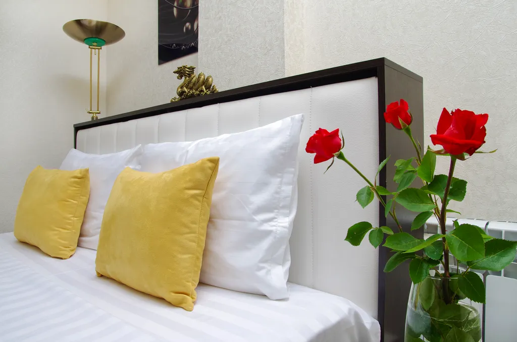 Park Apartments с Алисой на Декабристов