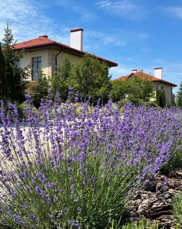 Апартаменты на первой линии Севастополь (Любимовка)