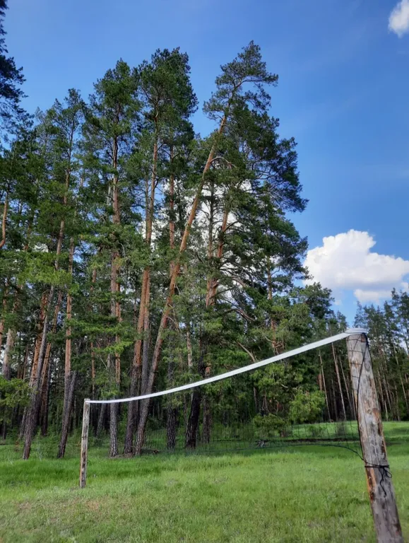 Отдых в Бузулукском бору круглый год с выходом в лес.