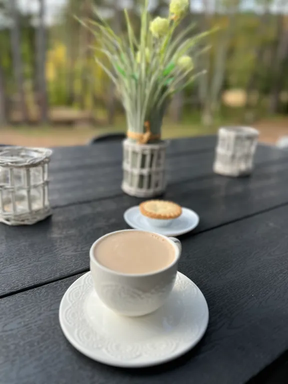 Стильный дом на берегу Ладожского озера с панорамным видом