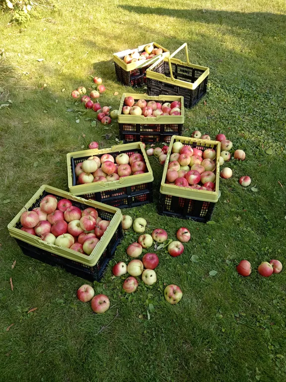 Дом в деревне