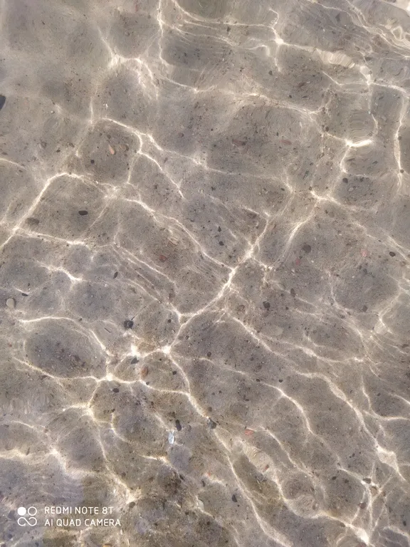 Квартира Уютная квартира с видом на лес — Светлогорск