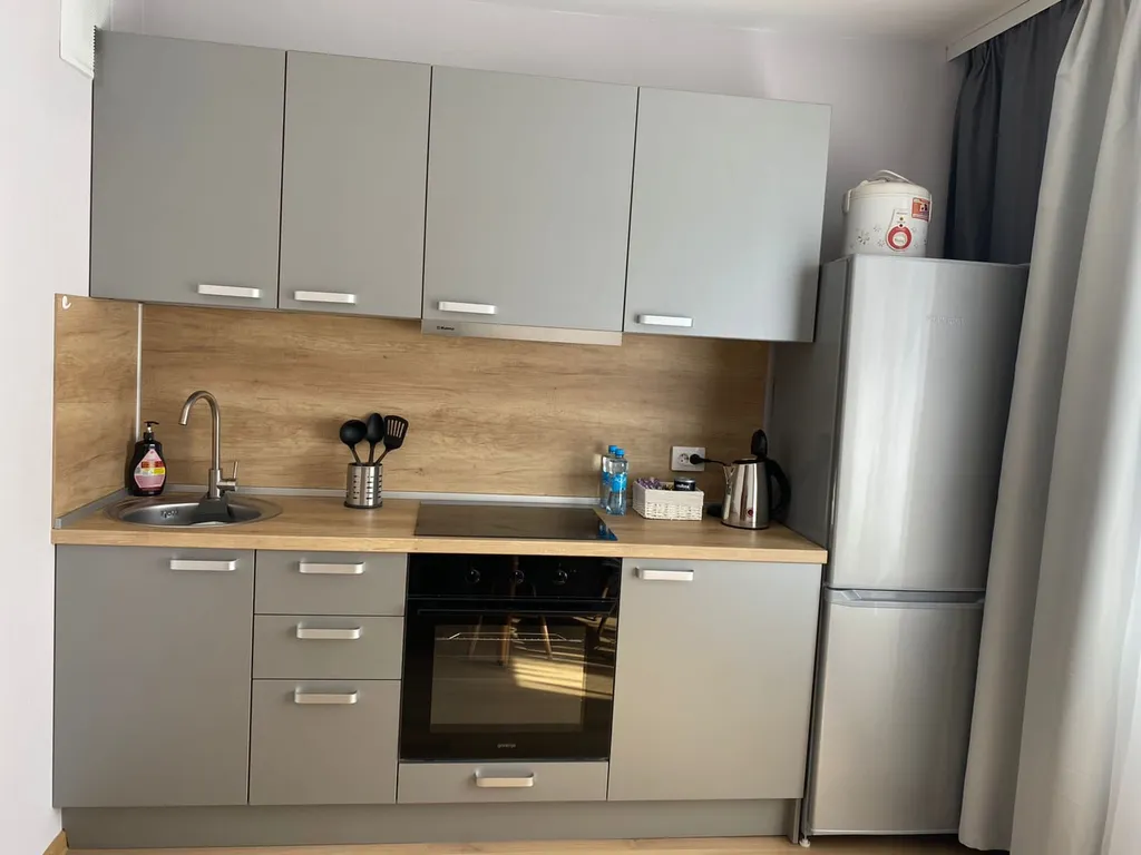 Квартира Просторная квартира в 5 мин от НИИ Петрова/Гранова — Песочный