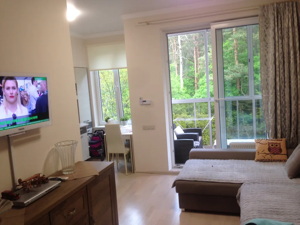 Студия у озера Тихое