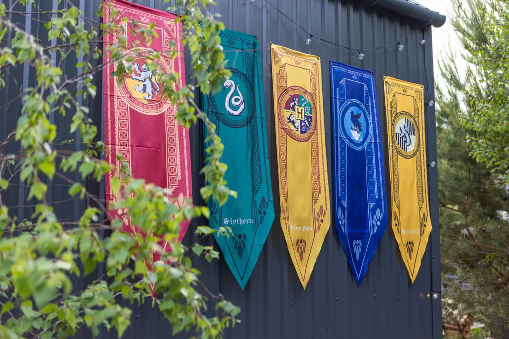 Дом Пуффендуй (чан входит в стоимость)