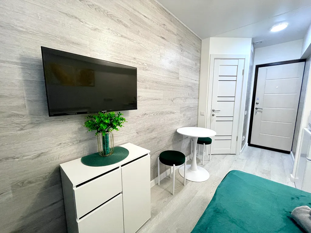 Уютная студия в Дзержинском районе