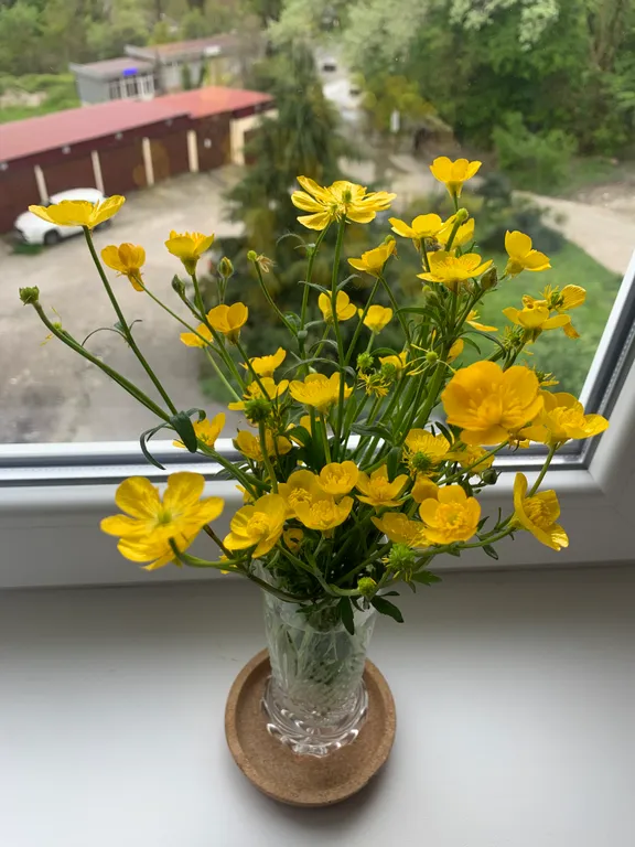 Уют в деревне