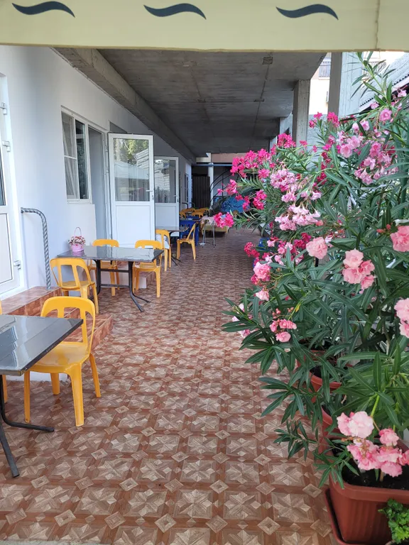 Четырехместный эконом в центр