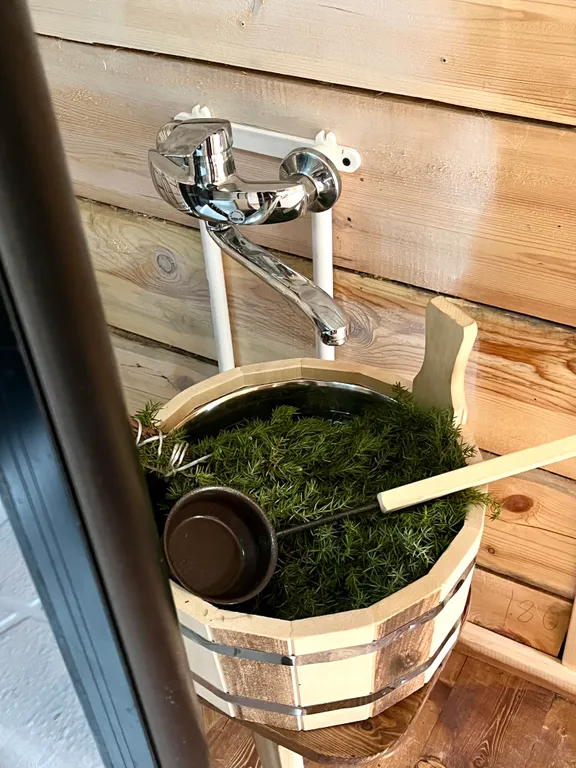 Уютный домик с баней 100'