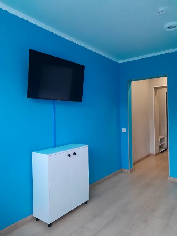 Студия в сосновом бору