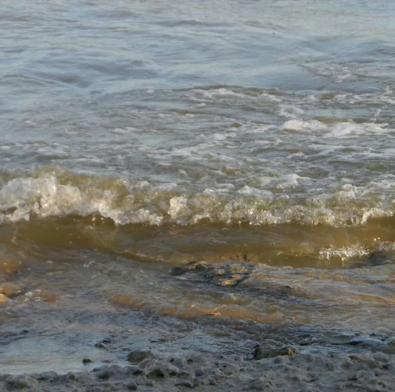 Квартира у моря и парка