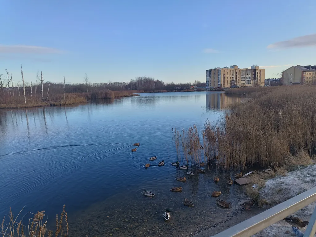 Уютная квартира в тихом экологически чистом районе