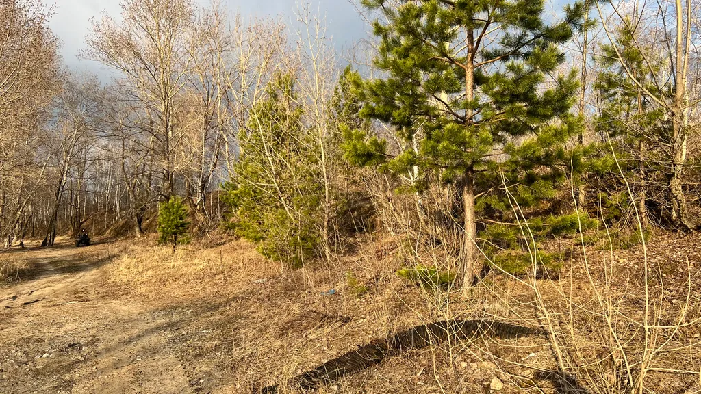 Фазенда у озера