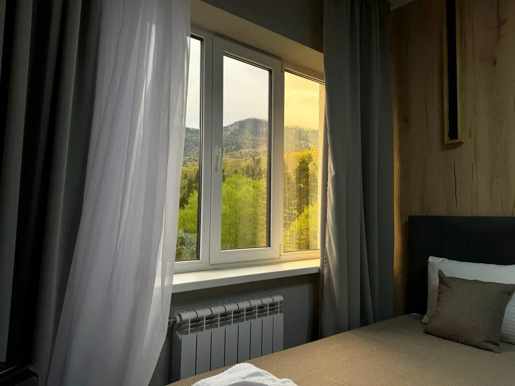 Двухкомнатный полулюкс с балконом и видом на горы и лес