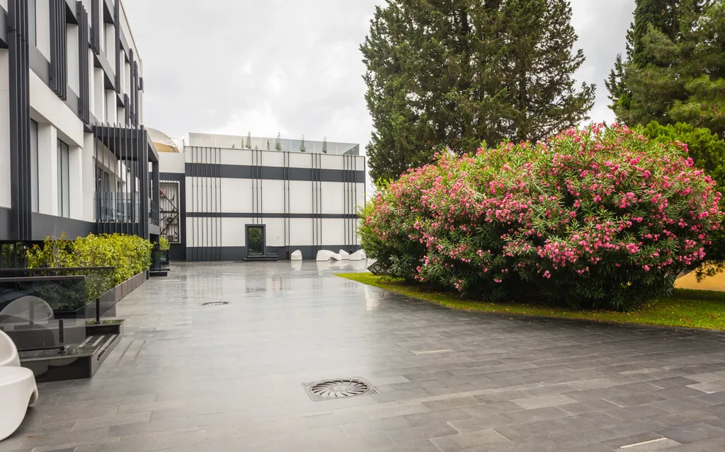 Апартамент Моне