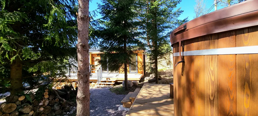 Дом для отдыха Елки Вокруг