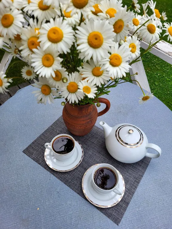 Уютный домик со всеми удобствами