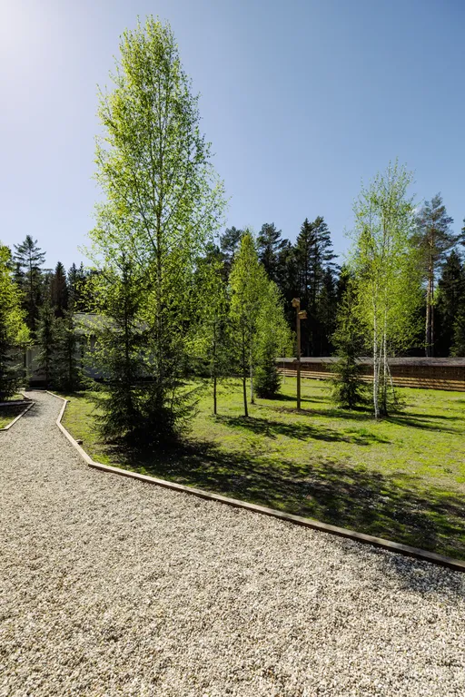 Вилла М с видом на вековой лес