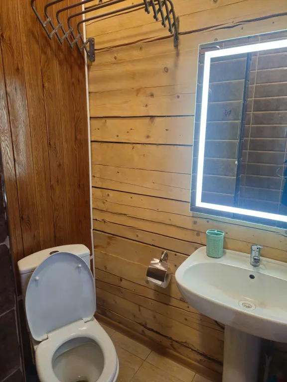 Коттедж Уютный дом в окружении пихтовых деревьев — Шерегеш