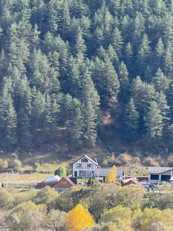 Премиум-шале Шам