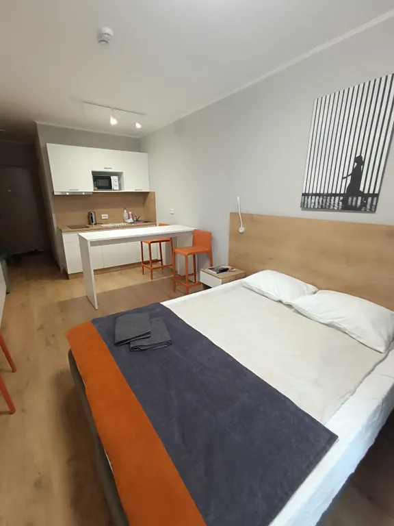 Апартаменты у метро Парнас