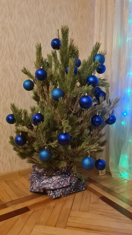 Уютная квартира с прекрасным видом на горы