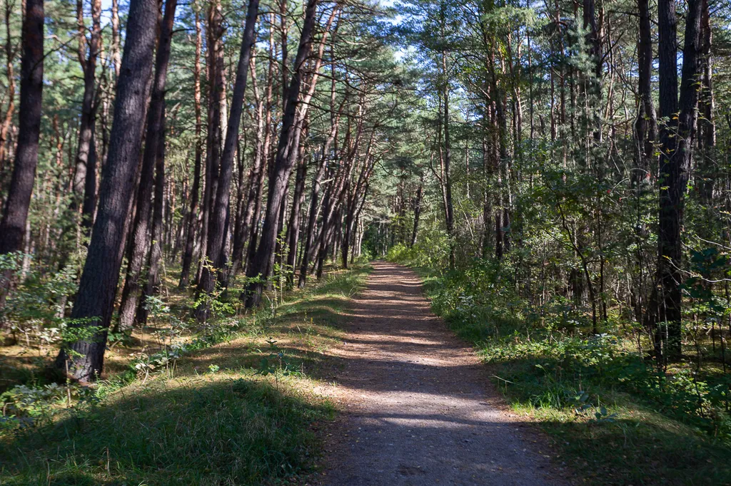 Дом с сауной и теплым бассейном