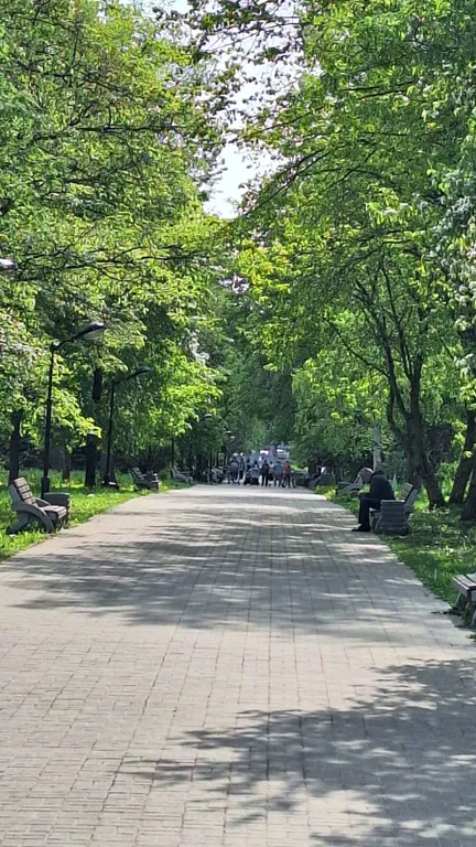 Квартира в центре города