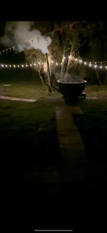 Просторный дом с видом на настоящий лес