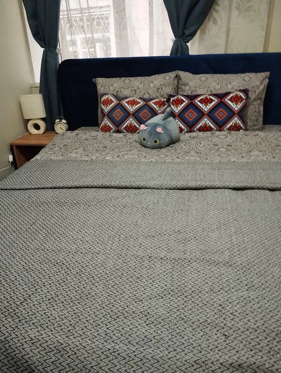 Квартира Двухместная комната с 1 двухспальной кроватью в центре Москвы — Москва