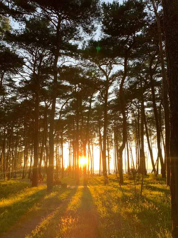 Светлая квартира у моря