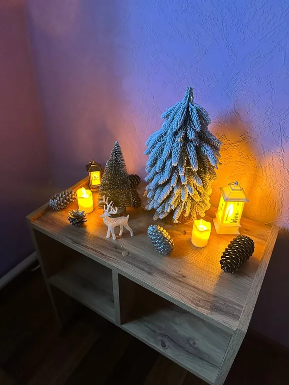 Уютная квартира в центре города