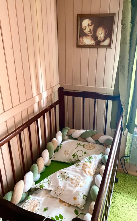 Дом и баня на участке 40 соток