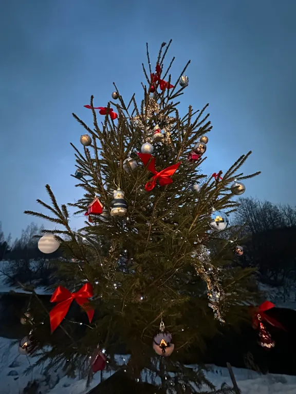 Дом без соседей