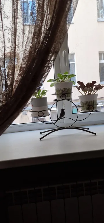 Квартира Большая комната рядом метро Чернышевская — Санкт-Петербург