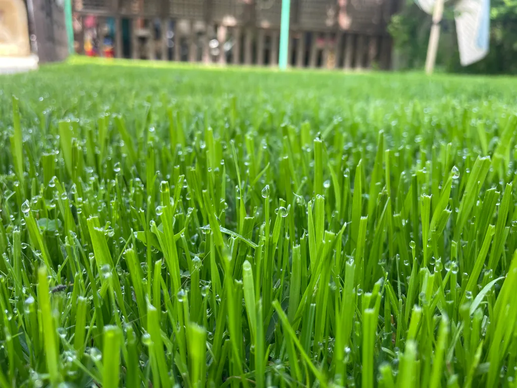 Дом Красота рядом с морем