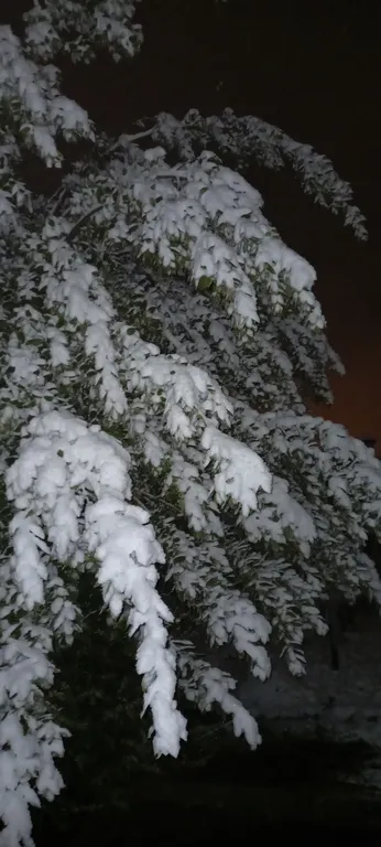 Дом старого художника в Севастополе