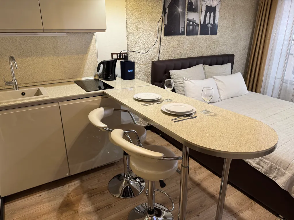 Студия Америка с кинотеатром, террасой и кухней