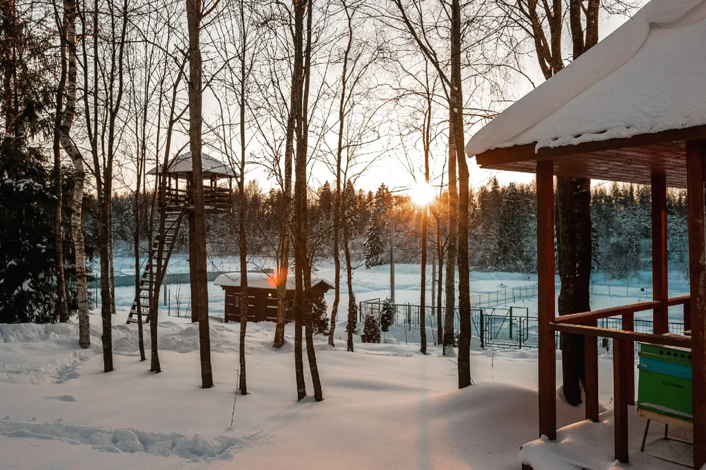 Коттедж Рябиновый домик с видом на лес и реку — Агалатово