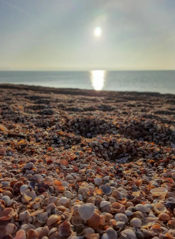 Уютный апартамент со своей кухней