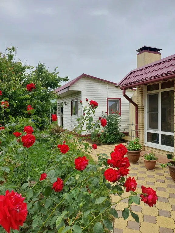 Уютный домик в окружении зелени